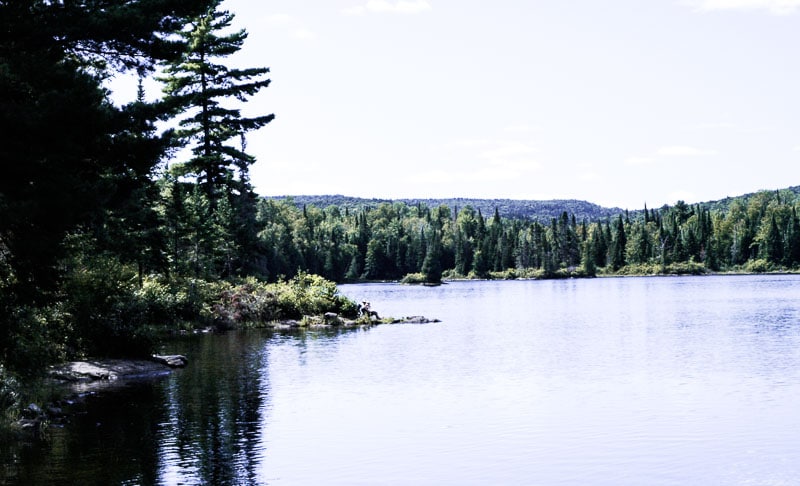 Visite au Parc de la Mauricie 