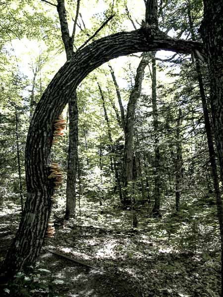 Visite au Parc de la Mauricie 