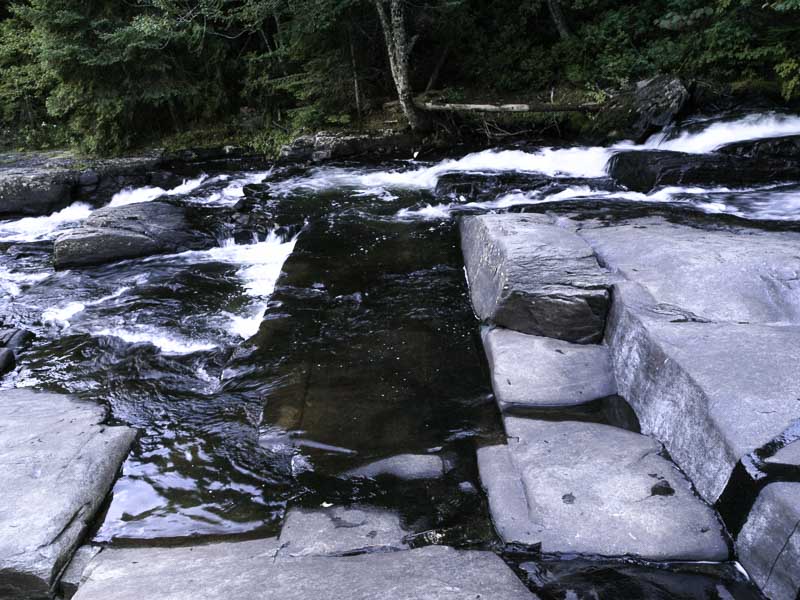 Visite au Parc de la Mauricie 