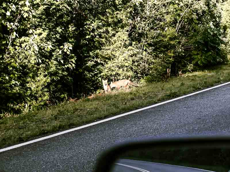 Weekend inusité dans le Parc de la Mauricie