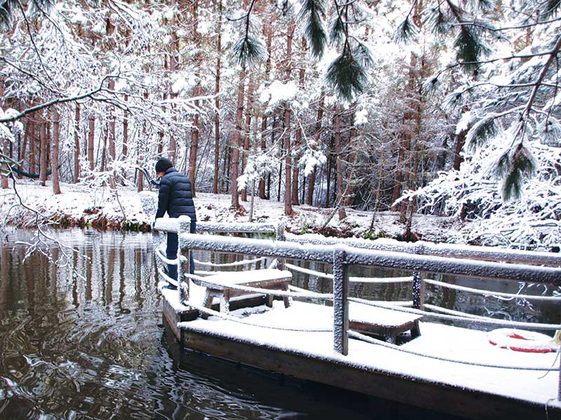 Petit lac caché chez Entre Cimes et Racines