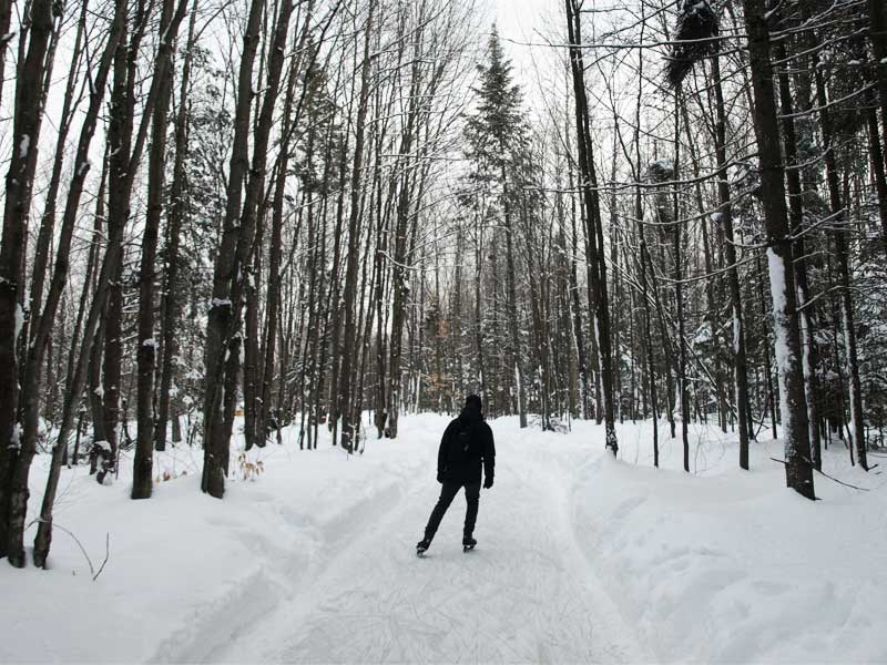 Patin en forêt dans les sentiers glacés du Domaine de la Forêt Perdue : escapade weekend hiver en Mauricie