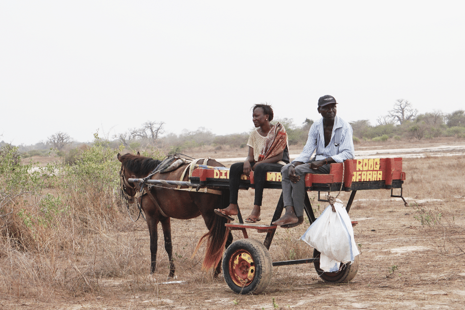 Le Sénégal - Mes premières impressions