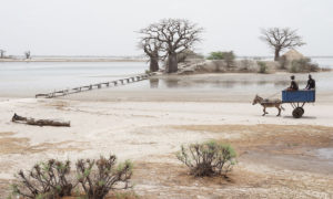 Le Sénégal – Mes premières impressions