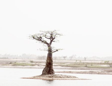 GUIDE DE VOYAGE SÉNÉGAL – SINE SALOUM