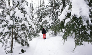 Quoi faire au Centre-du-Québec en hiver ?